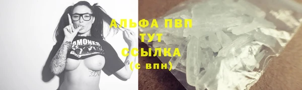 МДПВ Рославль