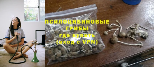 ГАЛЛЮЦИНОГЕННЫЕ ГРИБЫ Абдулино