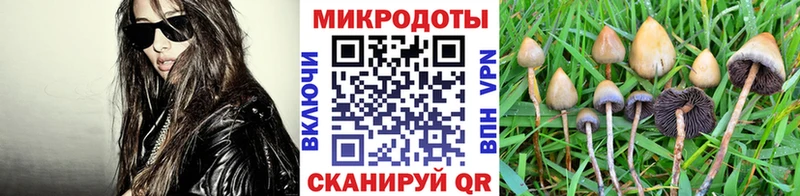 кракен маркетплейс Весьегонск Псилоцибиновые грибы прущие грибы